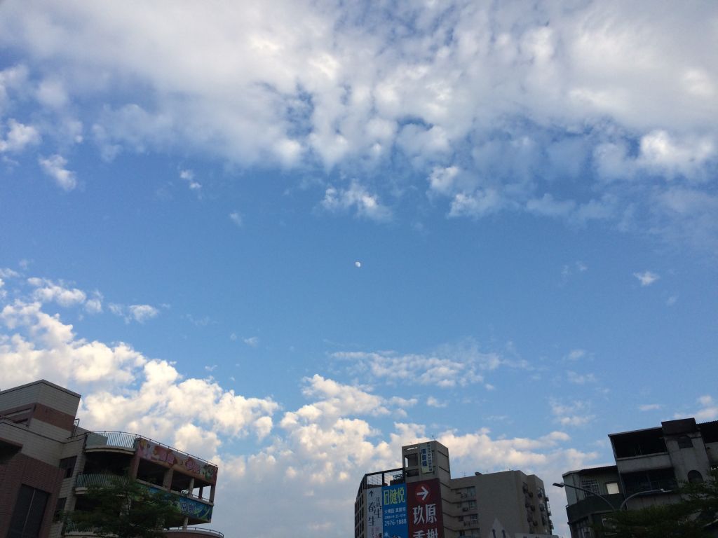 台北の空