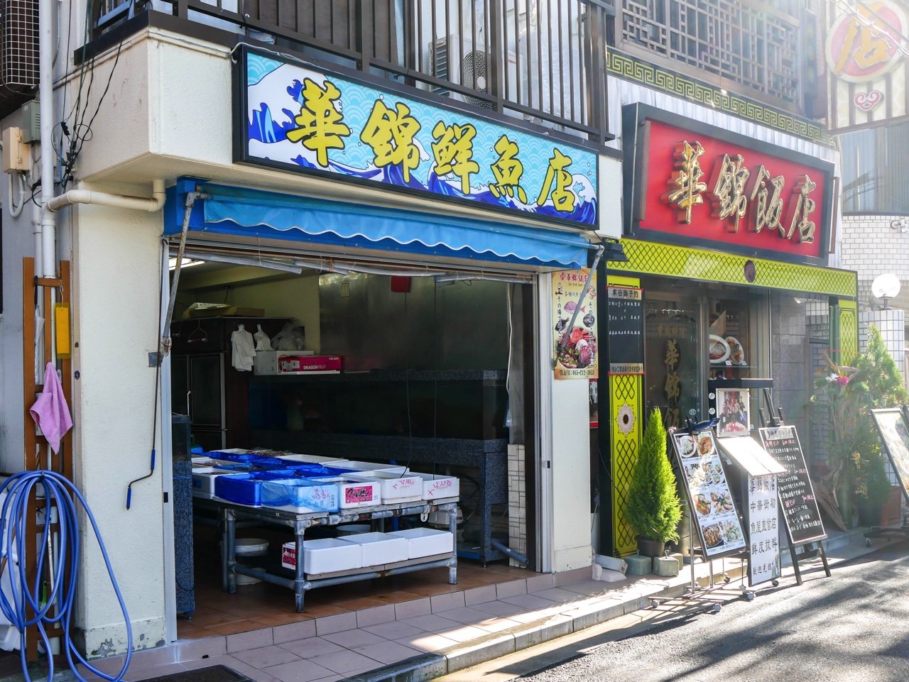 横浜中華街の鮮魚屋