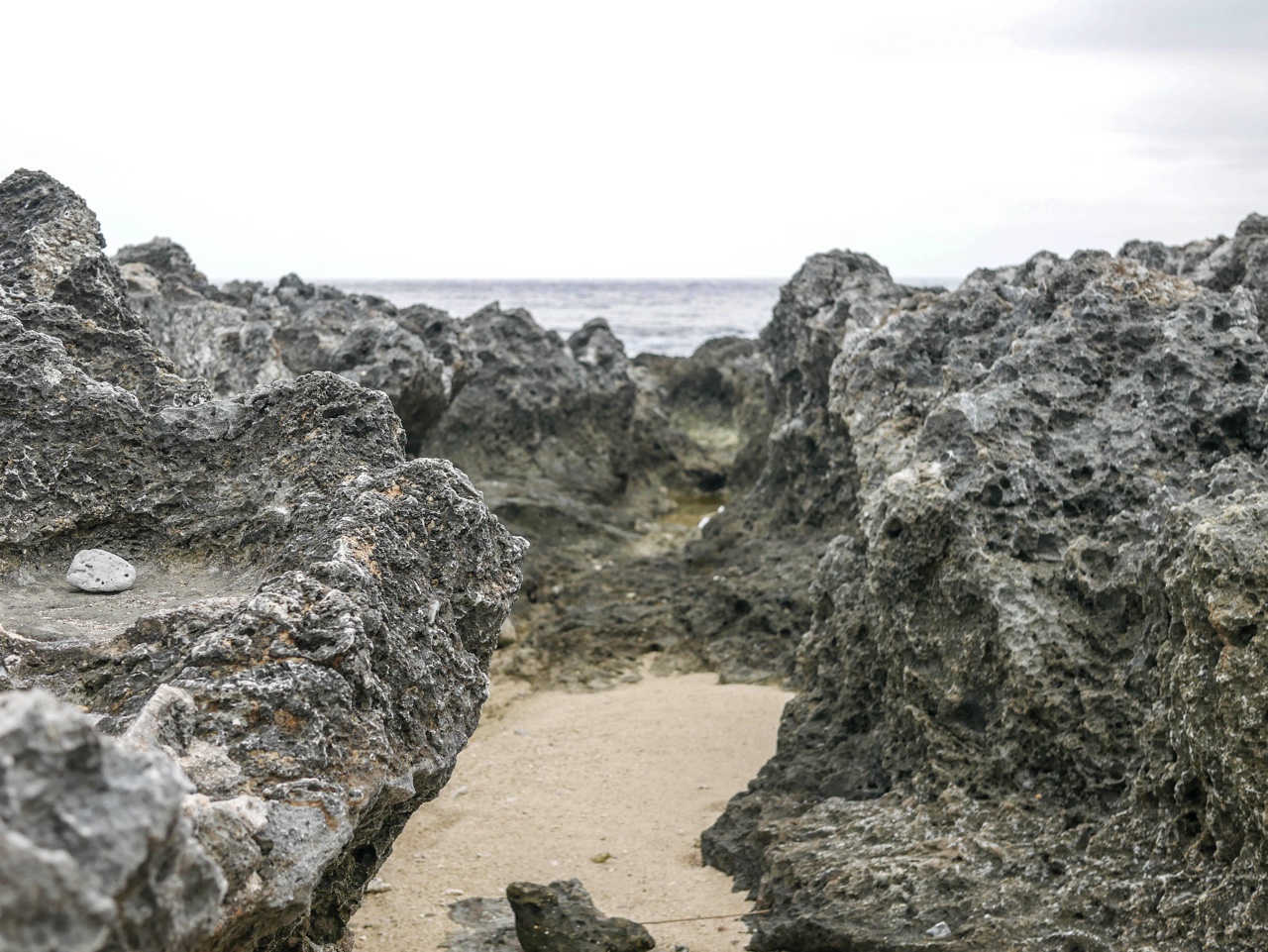 厚石海岸